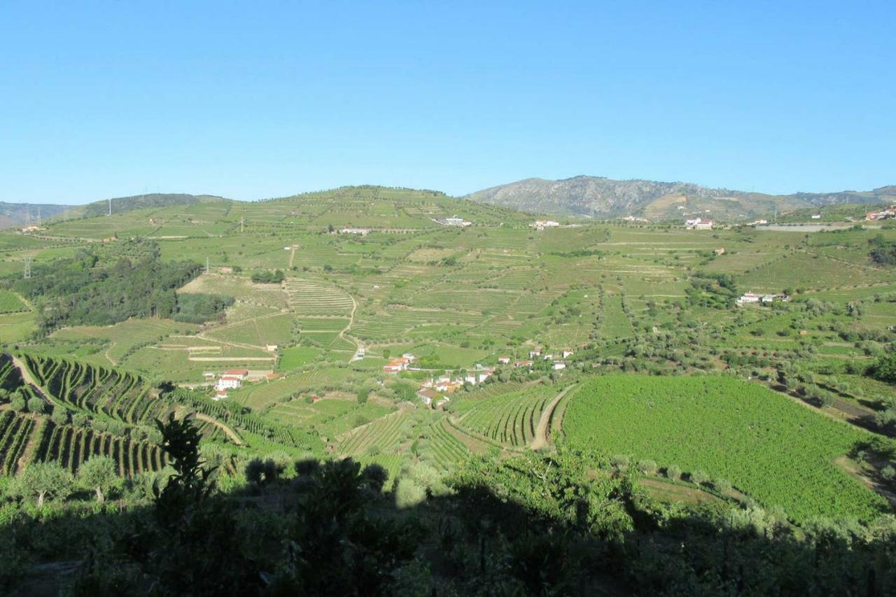 Quinta Das Murtinheiras Lamego Exteriér fotografie